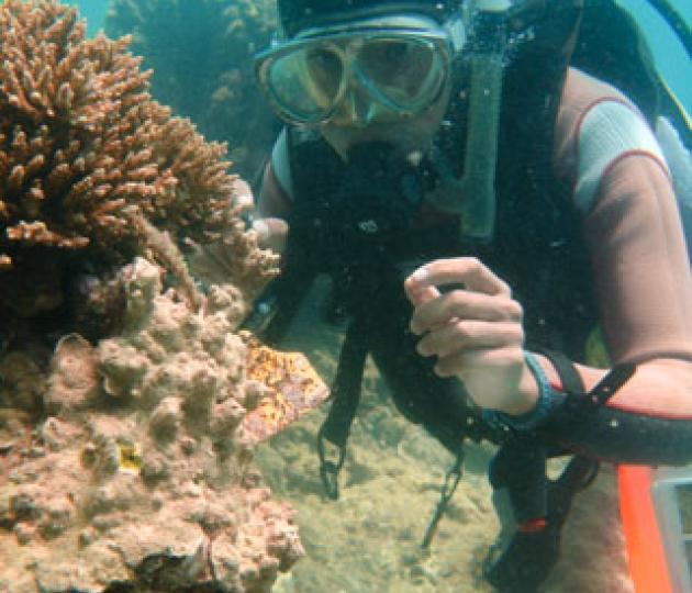 AIMS celebrates achievements of successful Earthwatch partnership