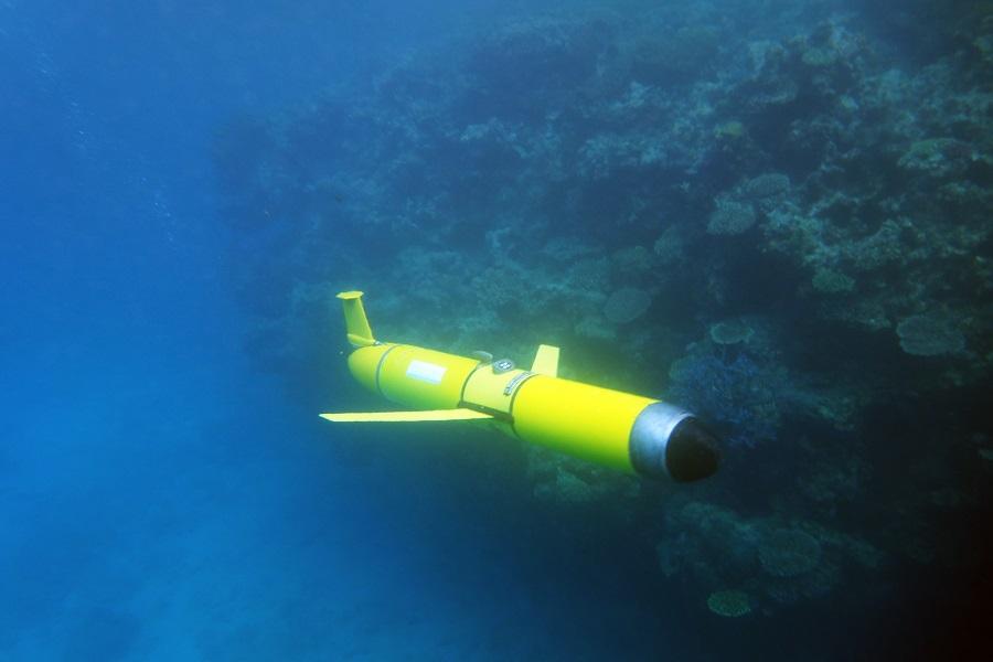 Yellow glider underwater next to coral reef