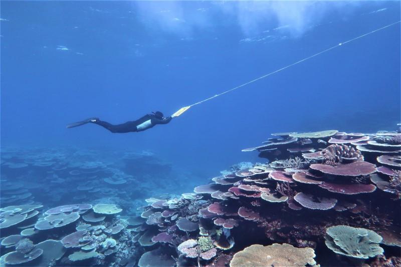 Marine scientist on manta board over reef