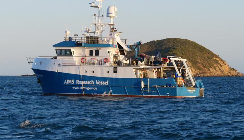 white and blue vessel in ocean in front of green island