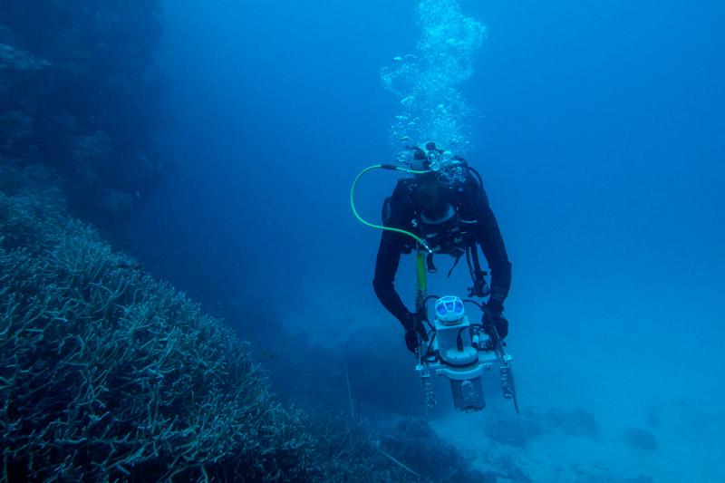 diver on reef with instrument in hands
