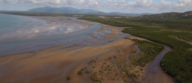 aerial photo of tropical coastal habitat with sand, water and trees