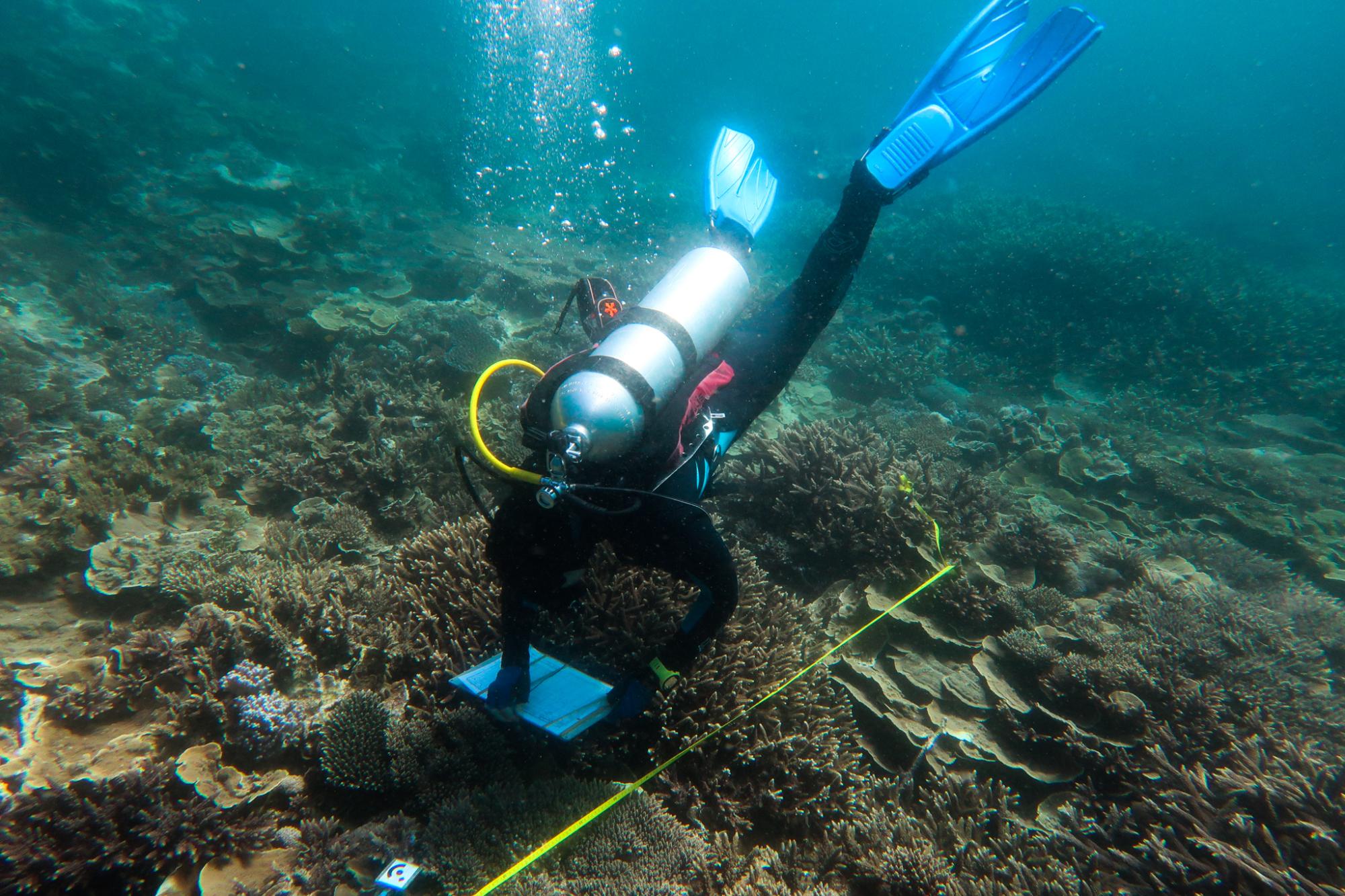 AIMS team monitoring southern reefs