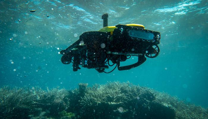 small robotic machine underwater on a reef