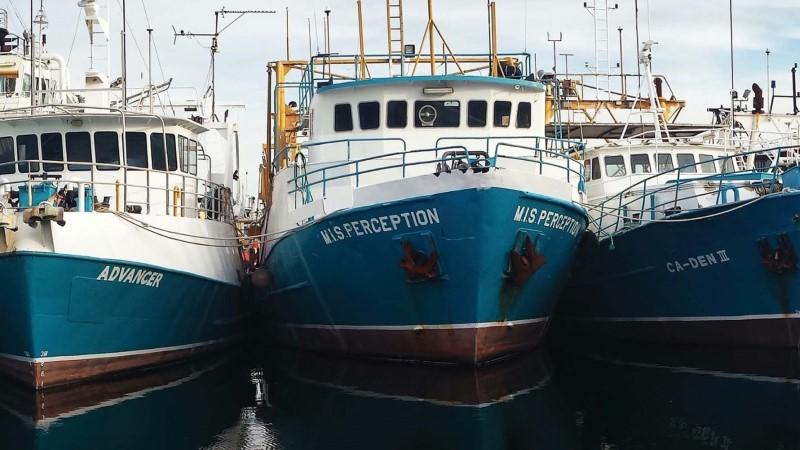 Ships in a harbour