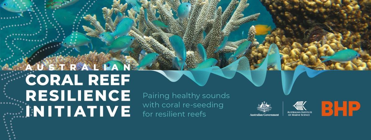 Australian Coral Reef Resilience Initiative