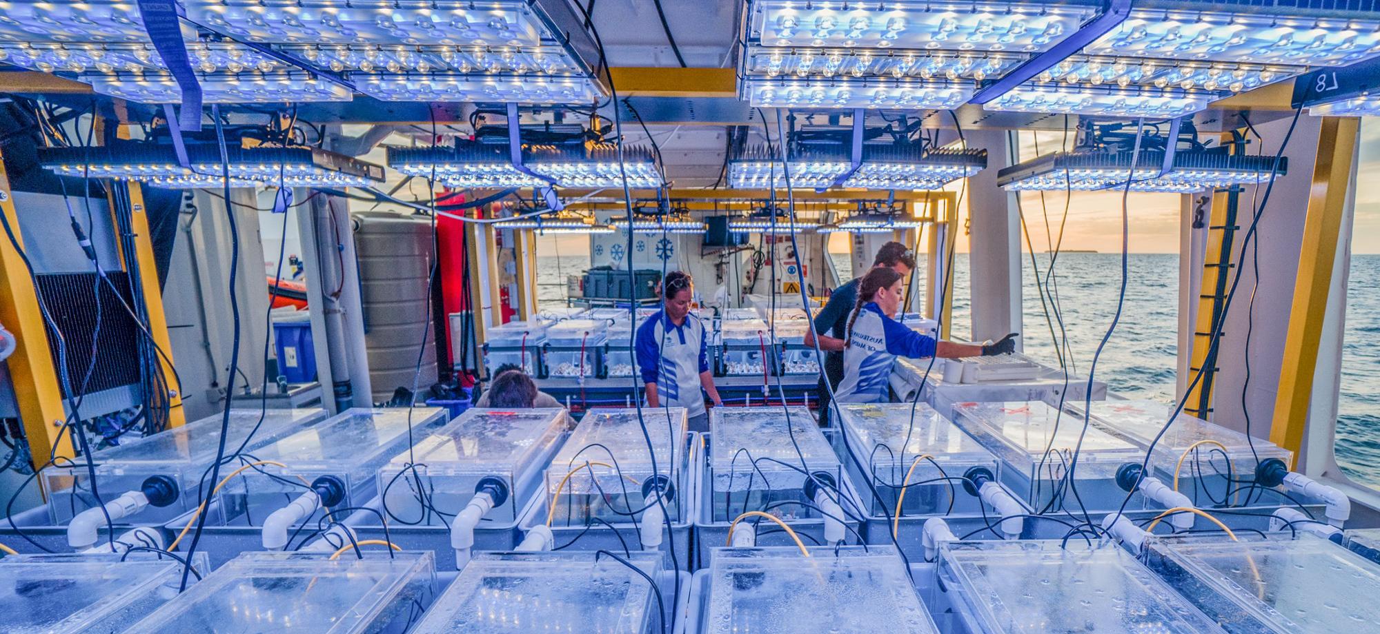 many aquaria on the deck of a boat with scientists
