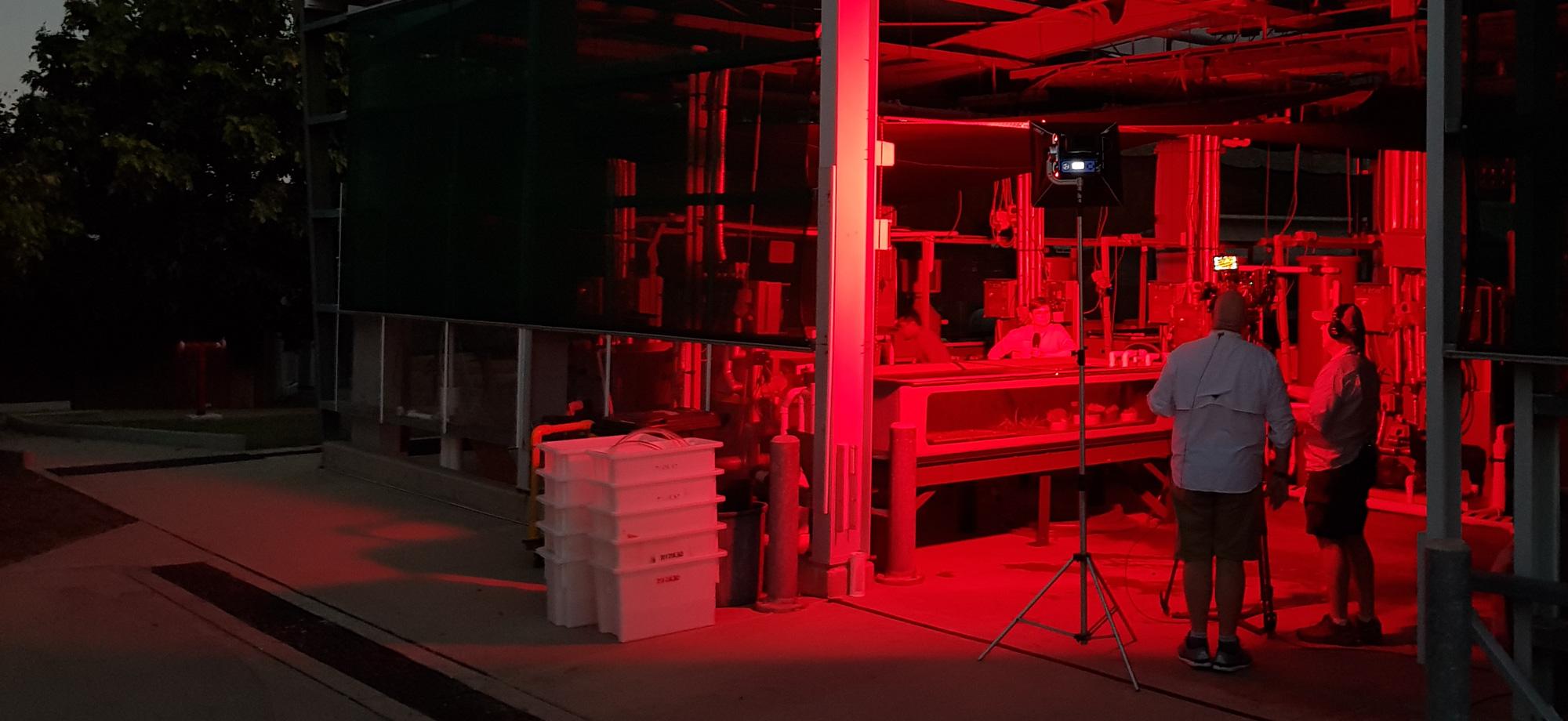 seasim and tv crew under red light