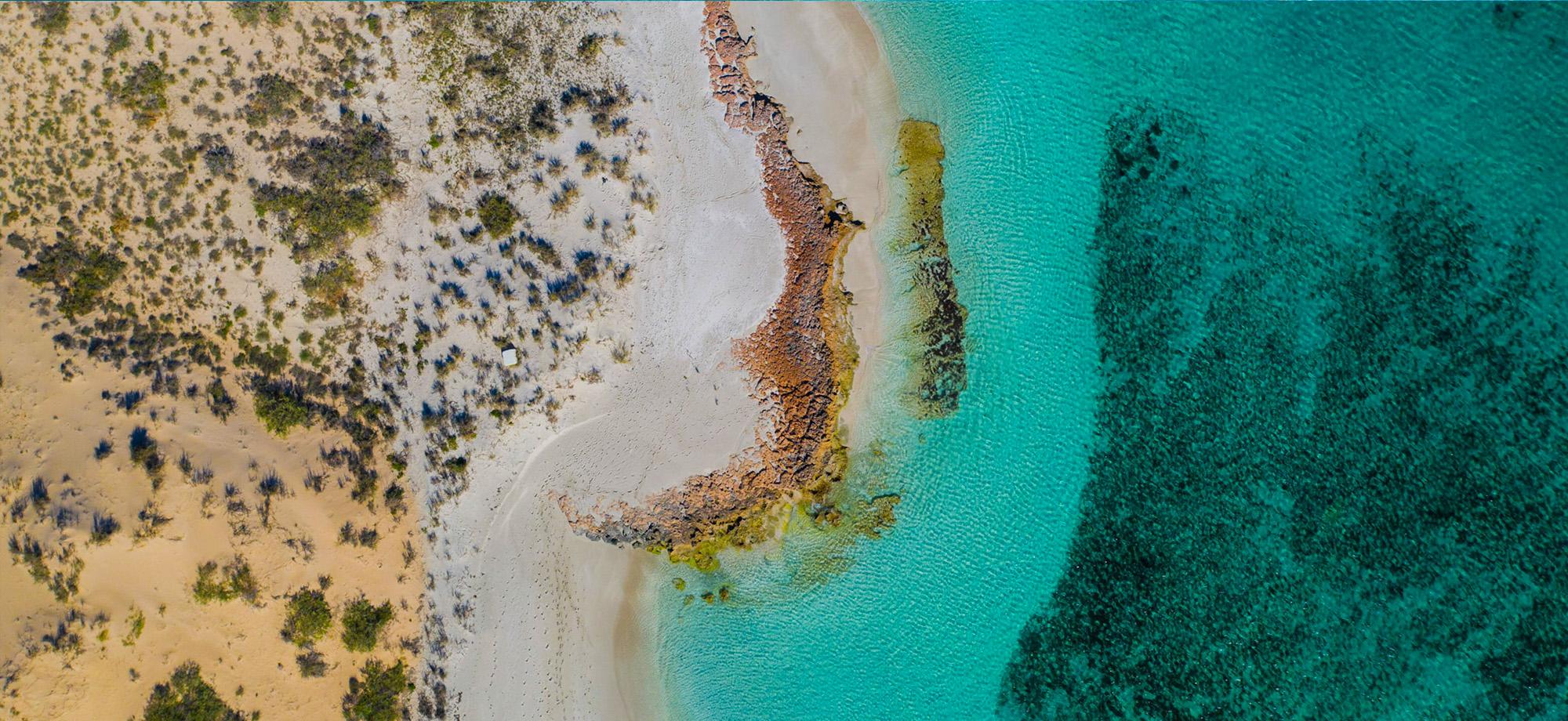 aerial photo of beach and ocean