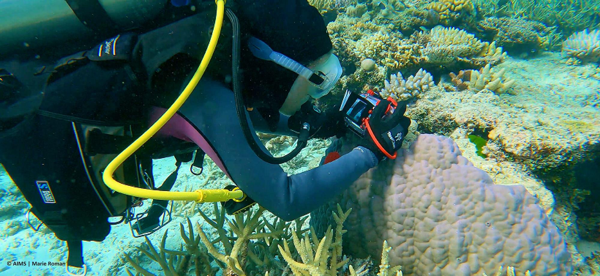 diver with camera taking a photo closeup