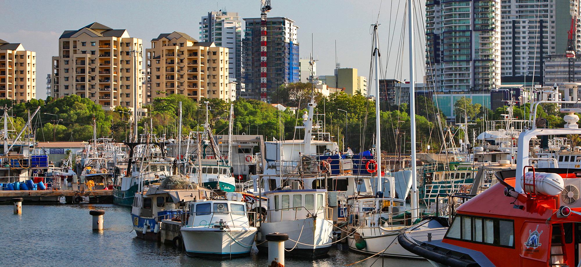 A busy Darwin marina with tall buildings in the background