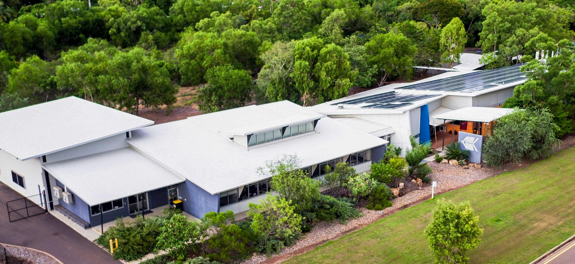 building surrounded by greenery