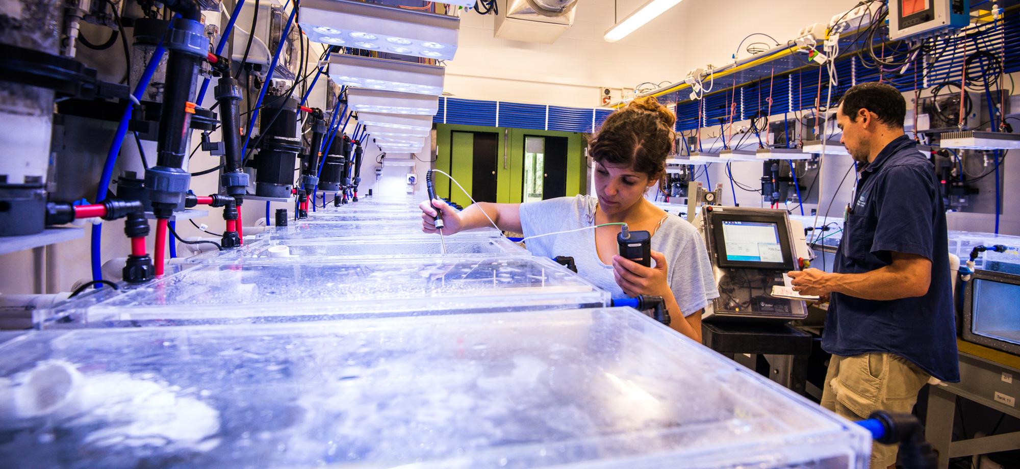 two people in a room filled with aquaria and technical instruments