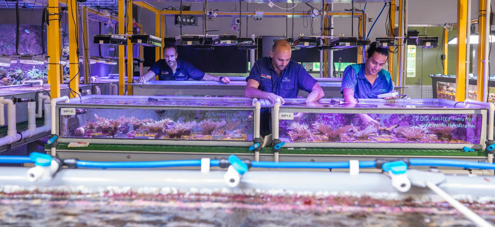 2 scientists over aquaria