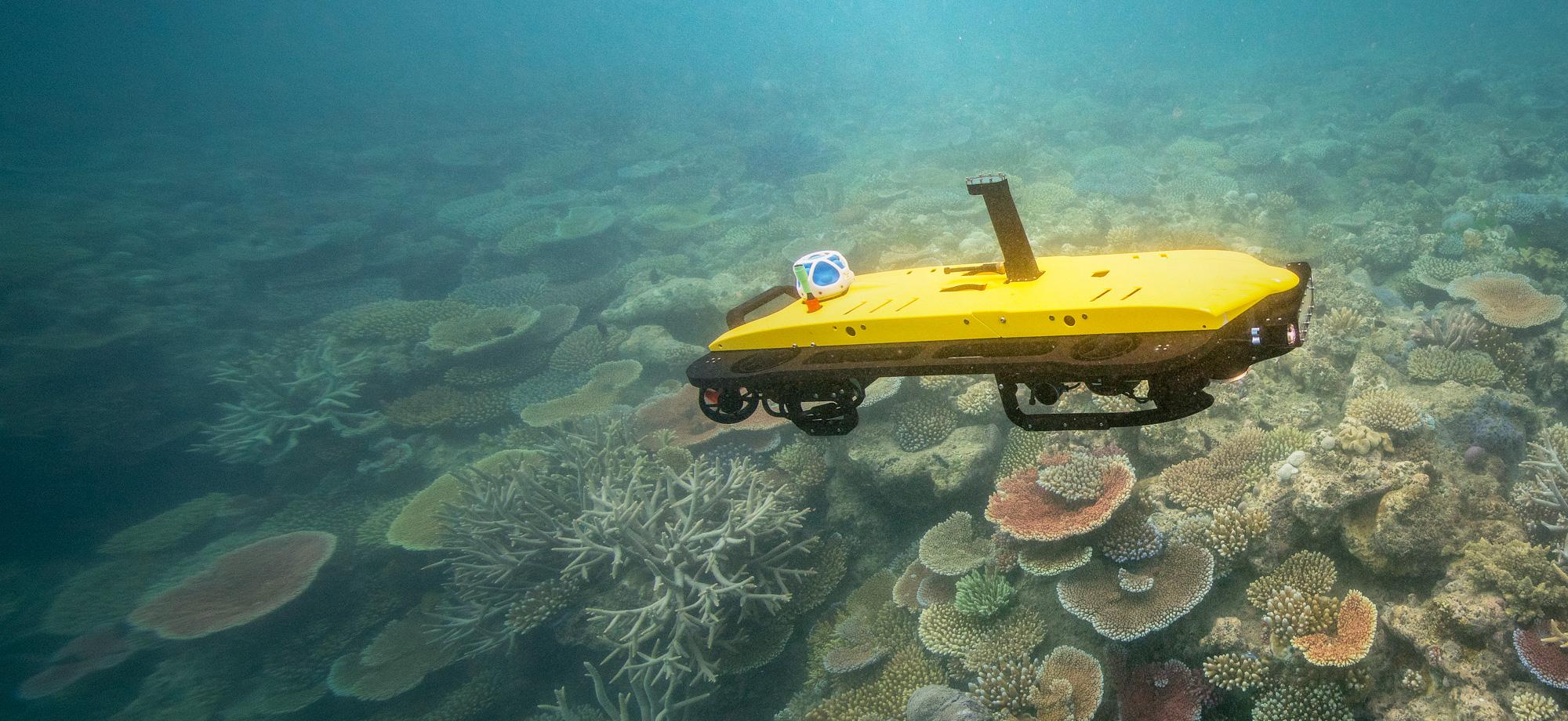 yellow underwater robot on reef