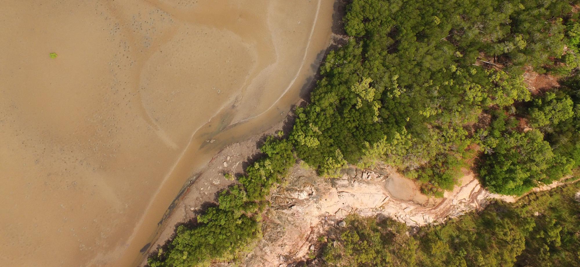 aerial photo looking down at mudflats and mangroves with a small creek