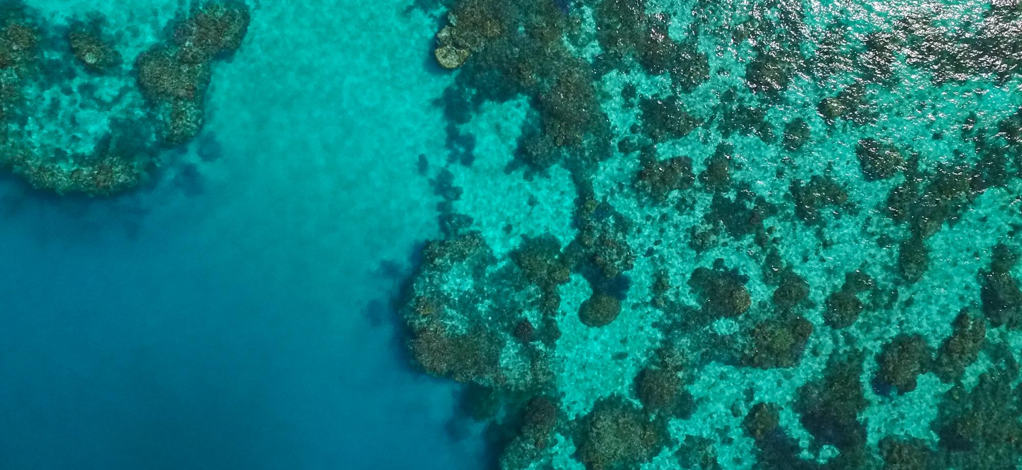 aerial photo of reef