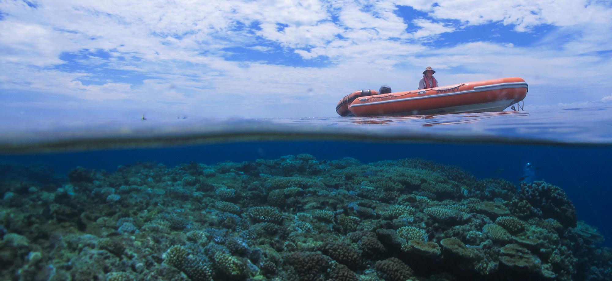 An orange tender sits on the water and we can see the coral reef below
