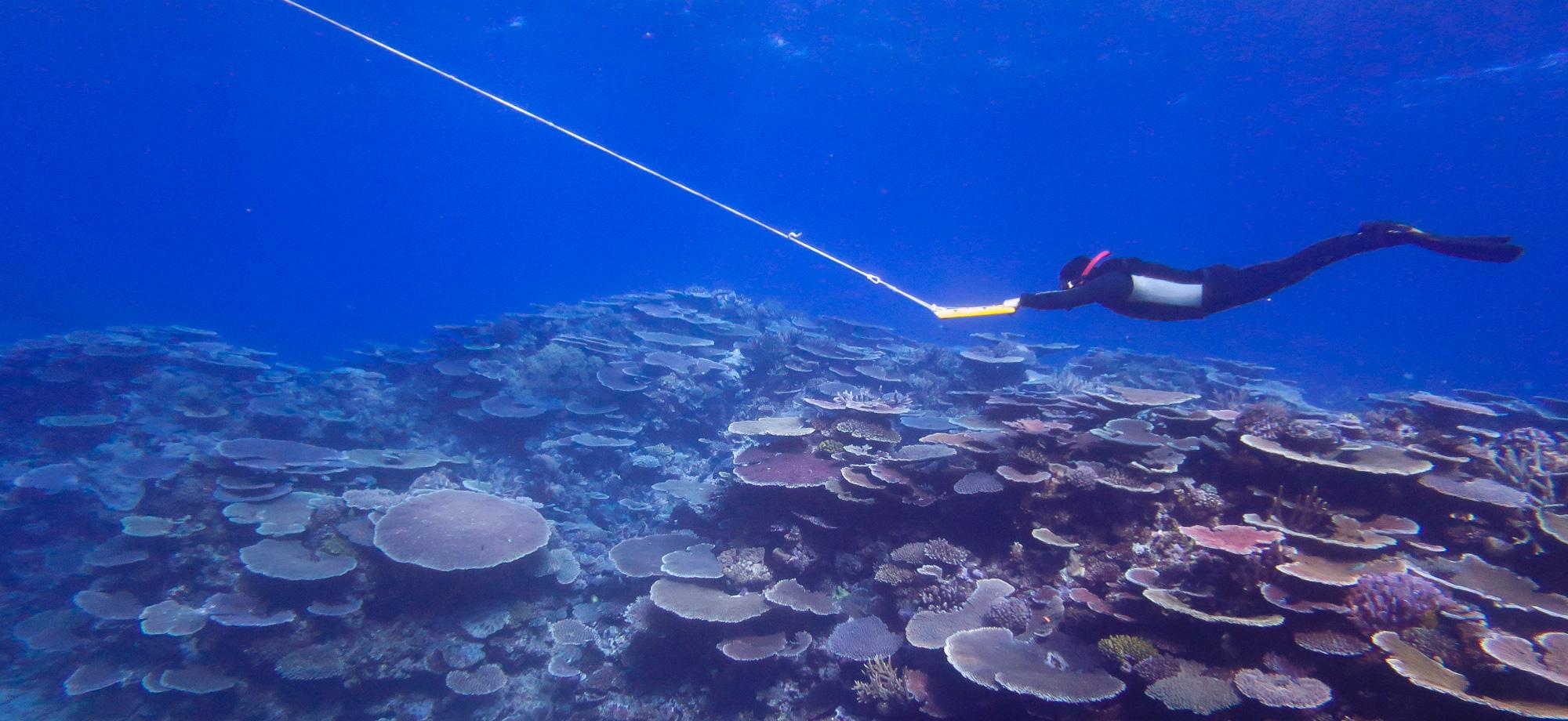 a snorkeller underwater being pulled by a rope, hanging on a a yellow board.