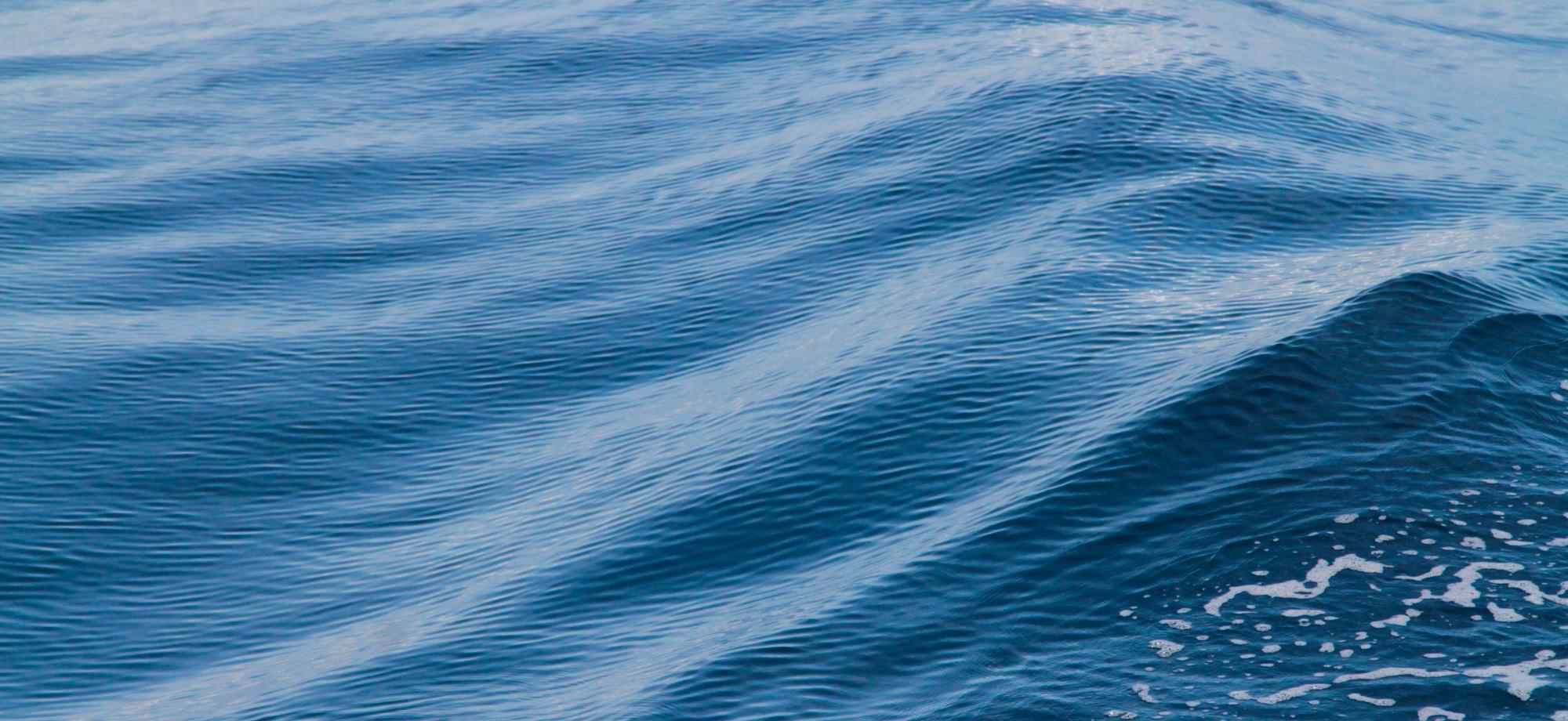 surface of water