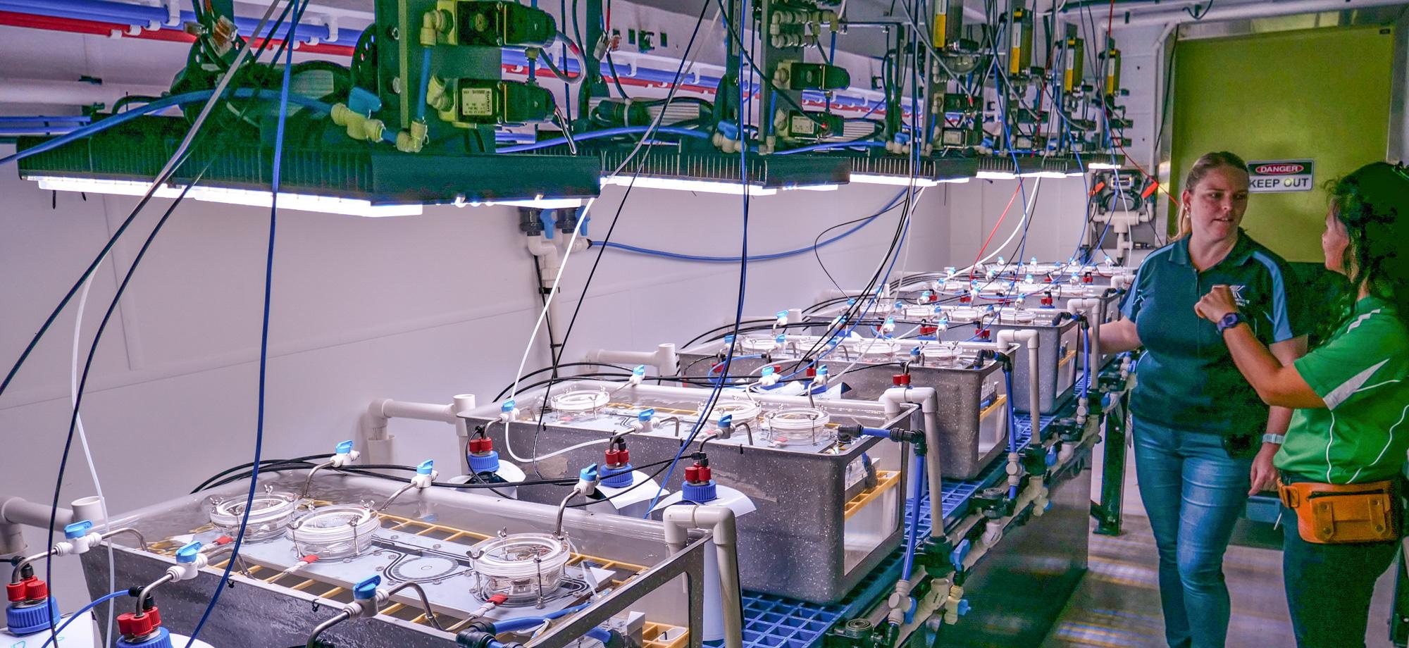 scientists in front of a row of aquaria
