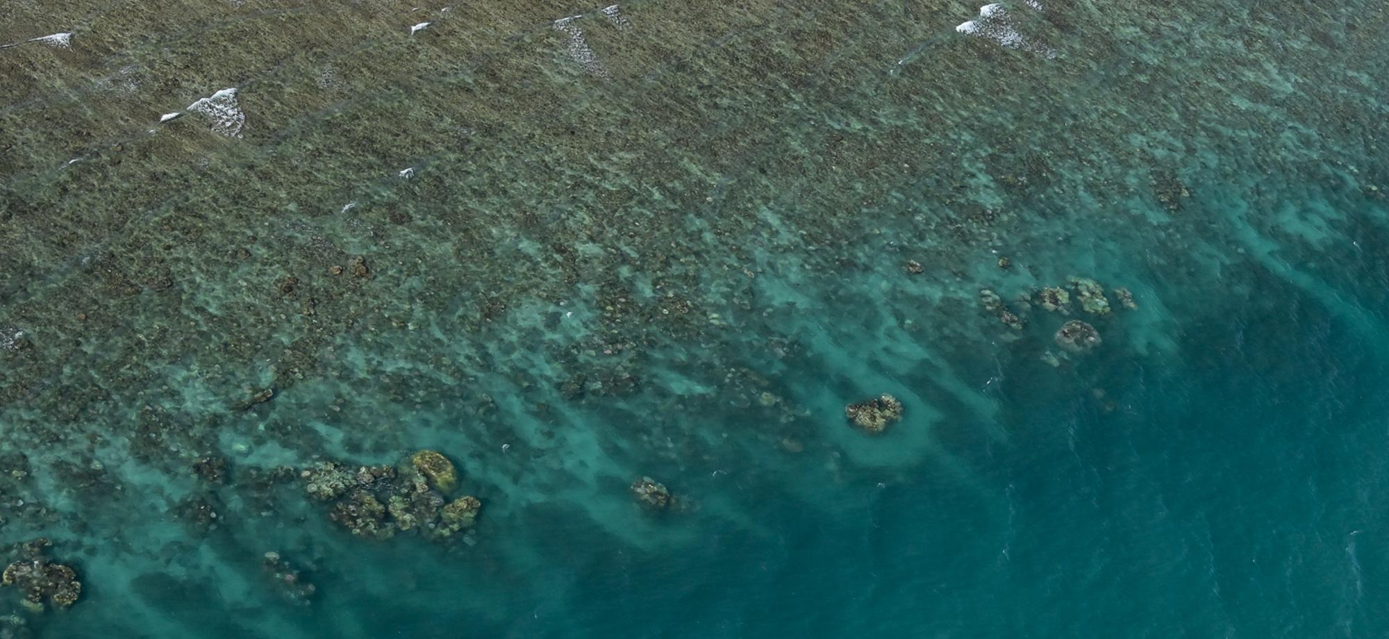 an aerial view of a reef with bleached white colonies of coral visible