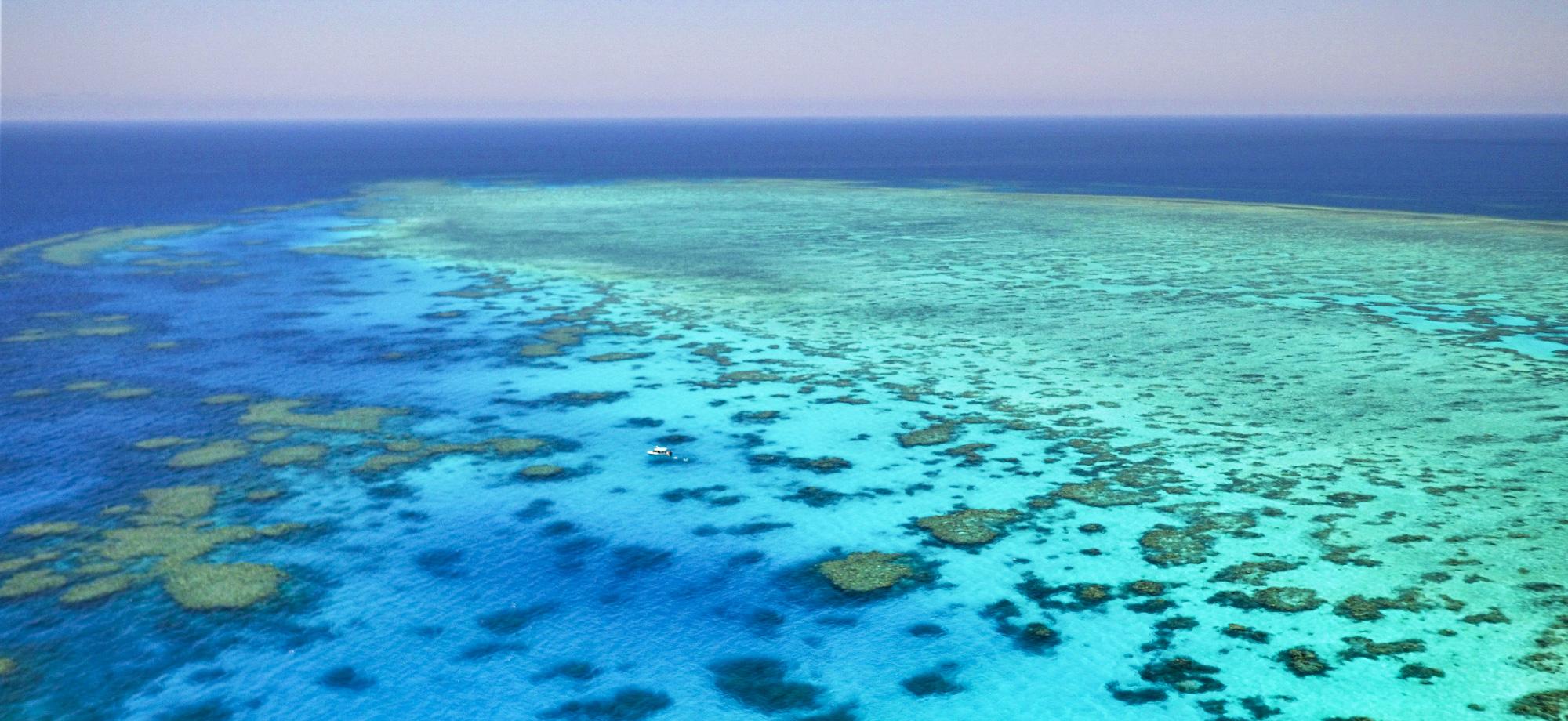 aerial view of coral reef