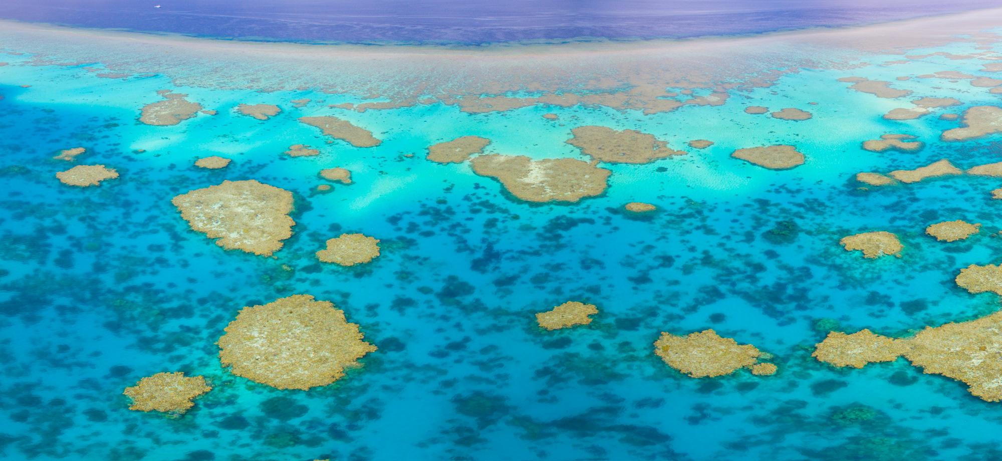 Aerial photo above a coral reef with bright blues and turquoise