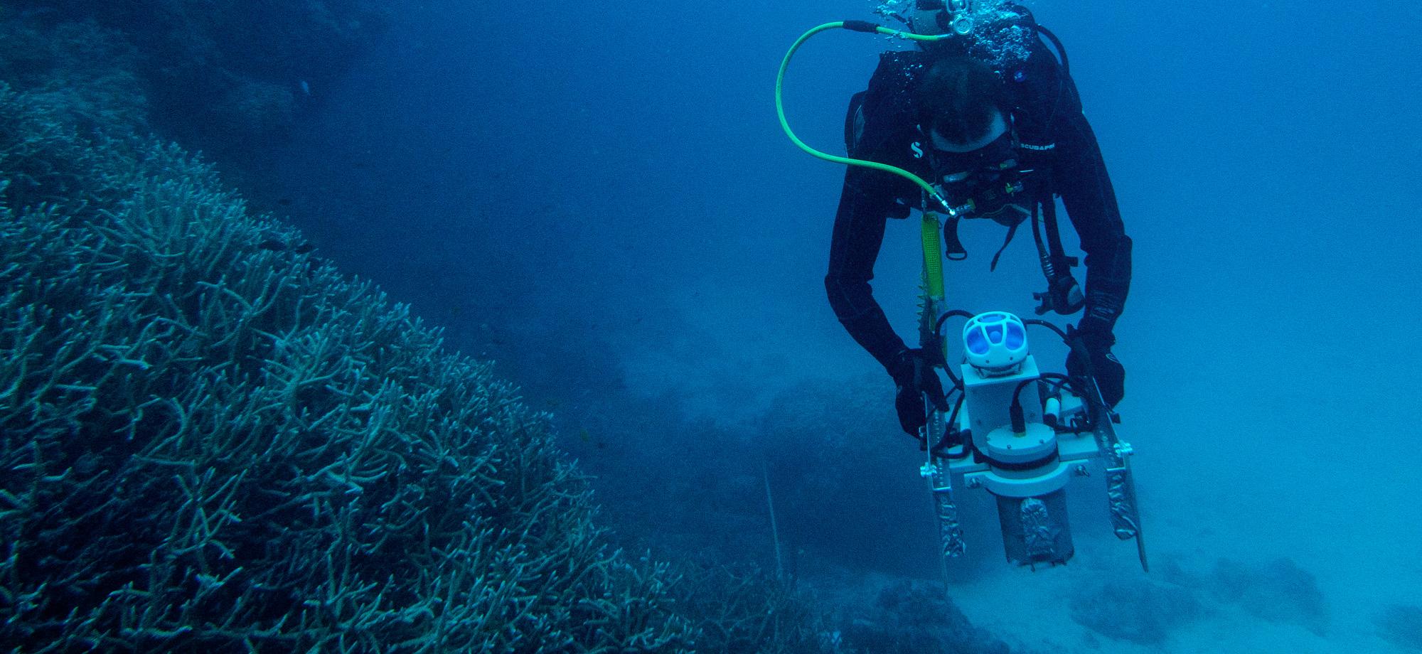 person with equipment underwater on reef