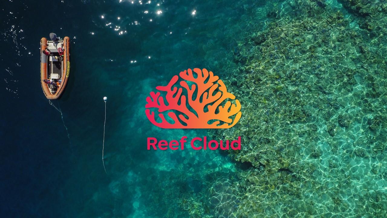 Reefcloud branding with reef and vessel in background