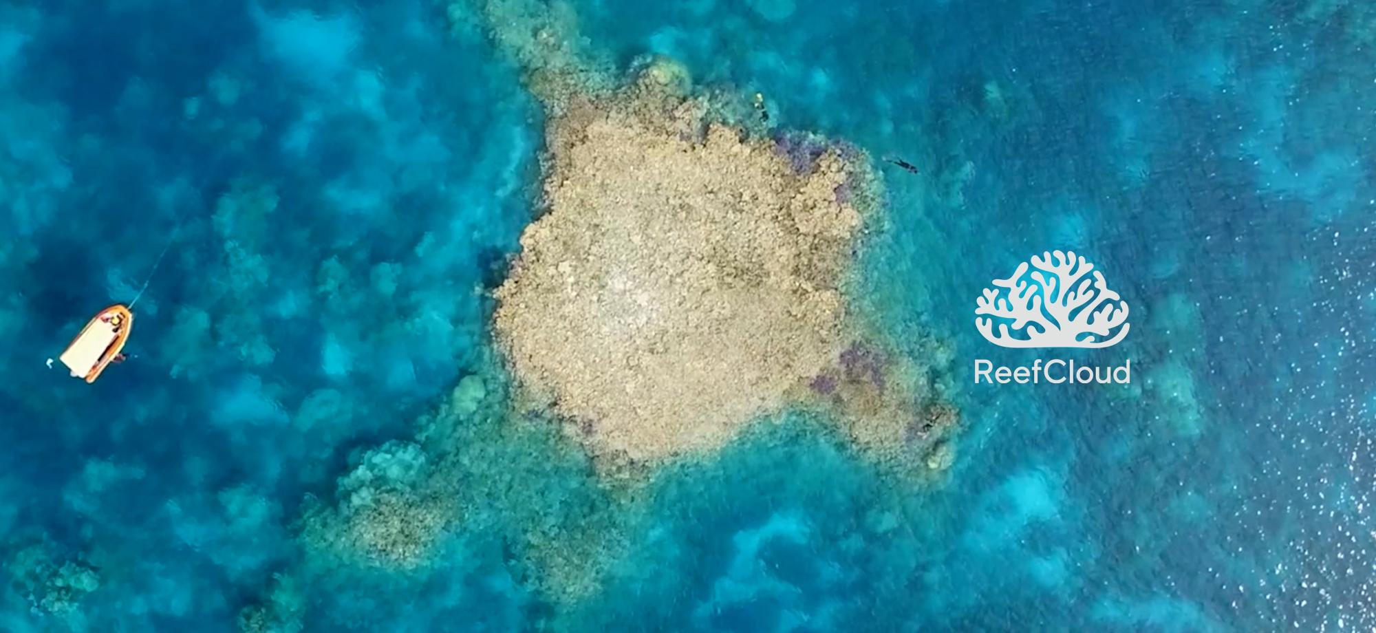 reef cloud logo on reef