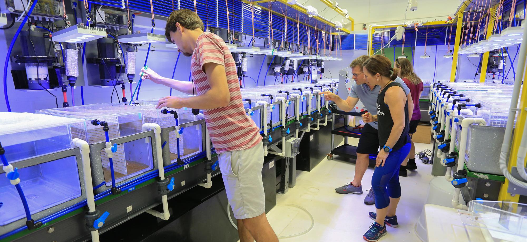 several scientists in a room filled with aquaria
