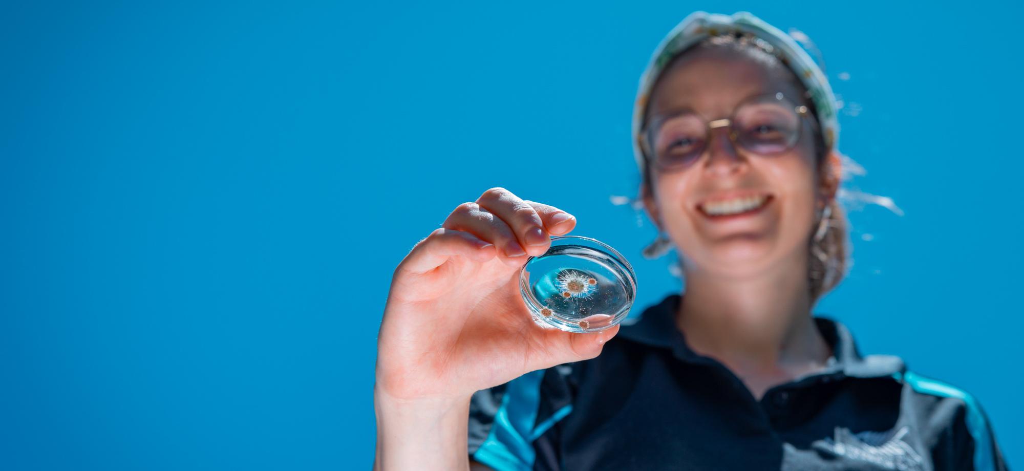 a woman holds a petri dish with very small starfish in it. The camea is looking up through the petri dish at the sky, and up to the woman's smiling face.