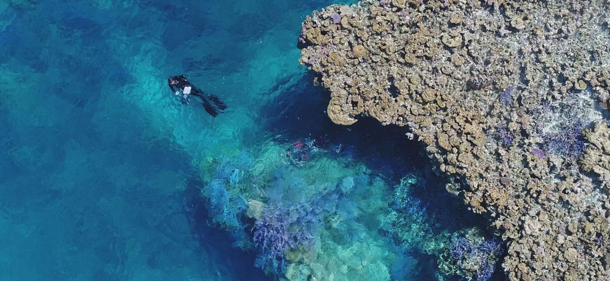 Aerial shot of a diver next to a reef flat