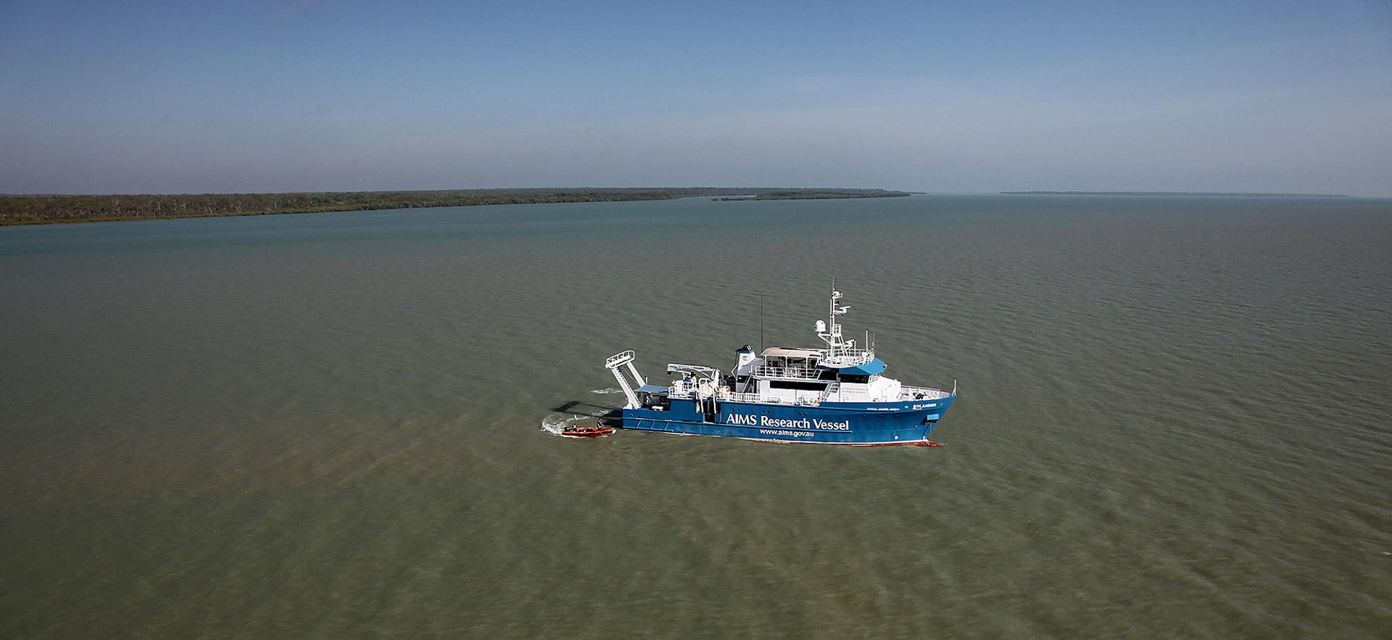 Large vessel at sea with mangroves in the background