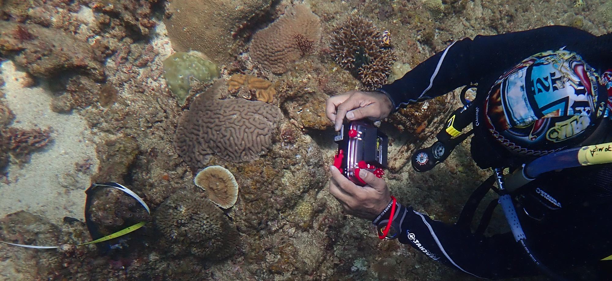 looking down on a diver wearing a bandanna taking a photo of a coral reef
