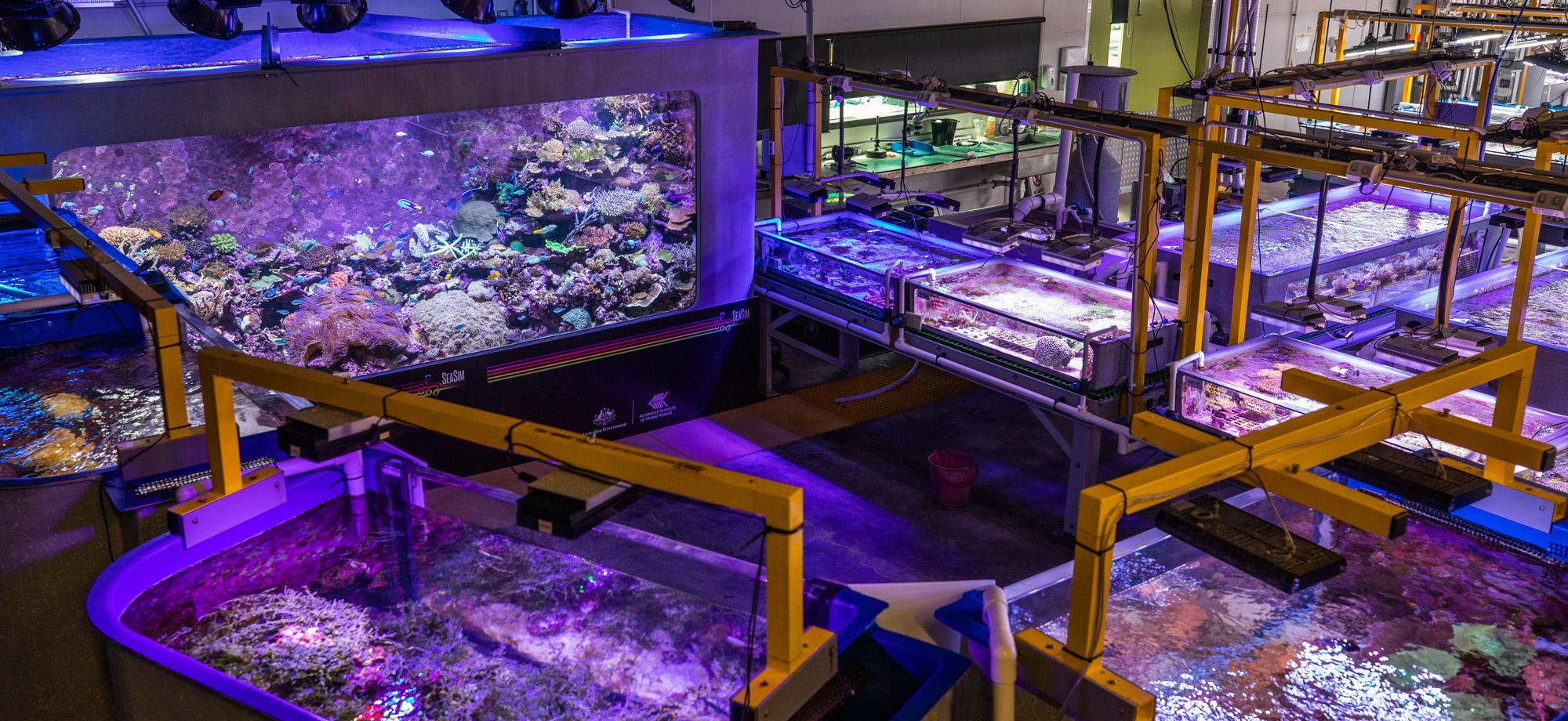 a number of different aquaria with different lighting in a large room with high ceiling