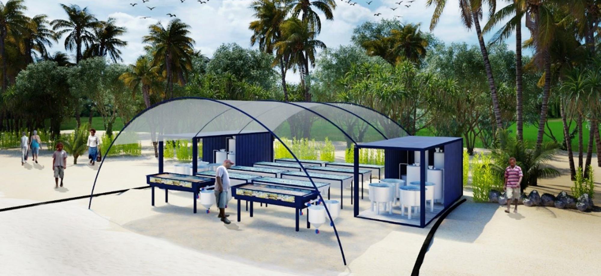 concept image showing a small aquaria system set up on a beach