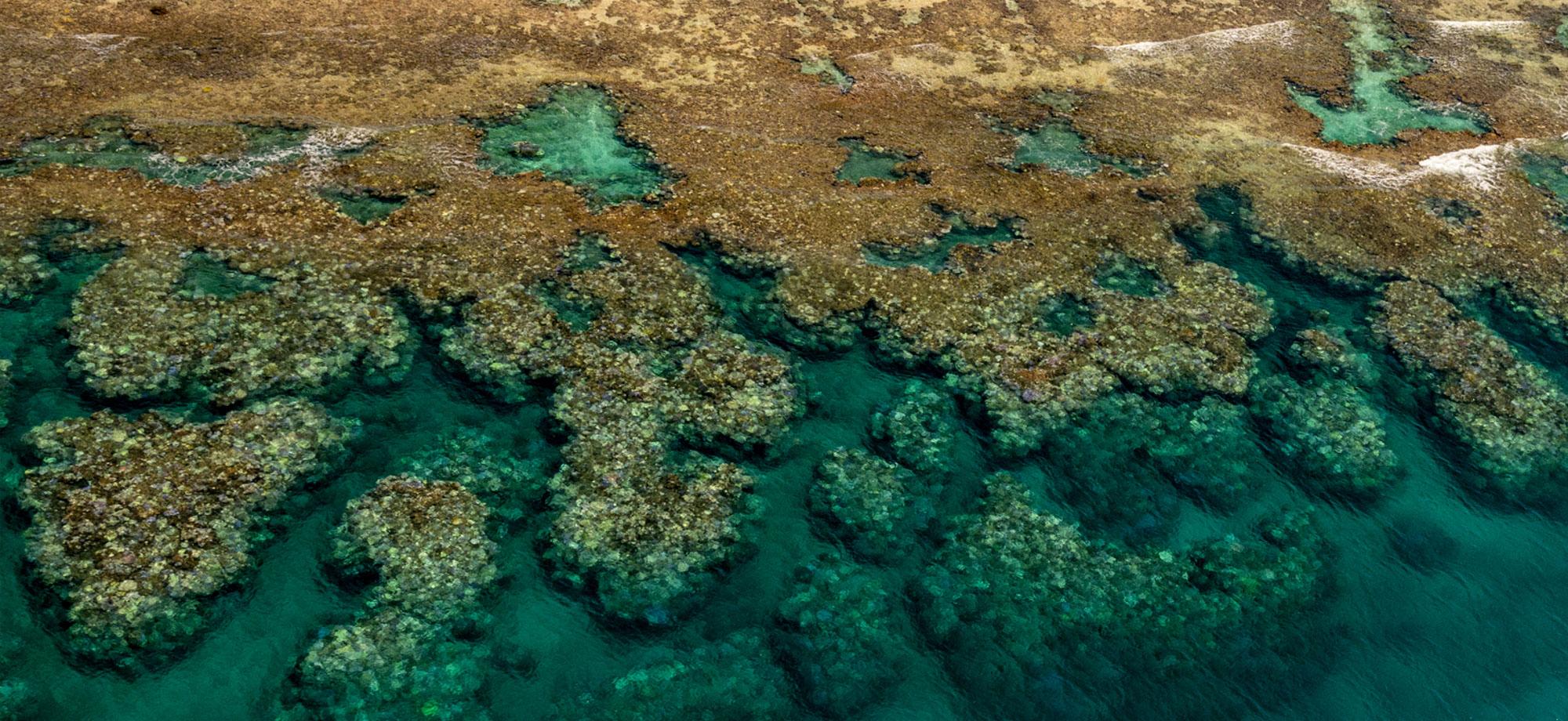 aerial view of a reef showing signs of bleaching