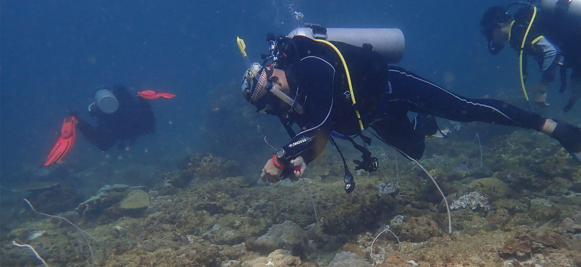 a diver is underwater looking down at the reef taking a photo. there are 2 other divers near them.