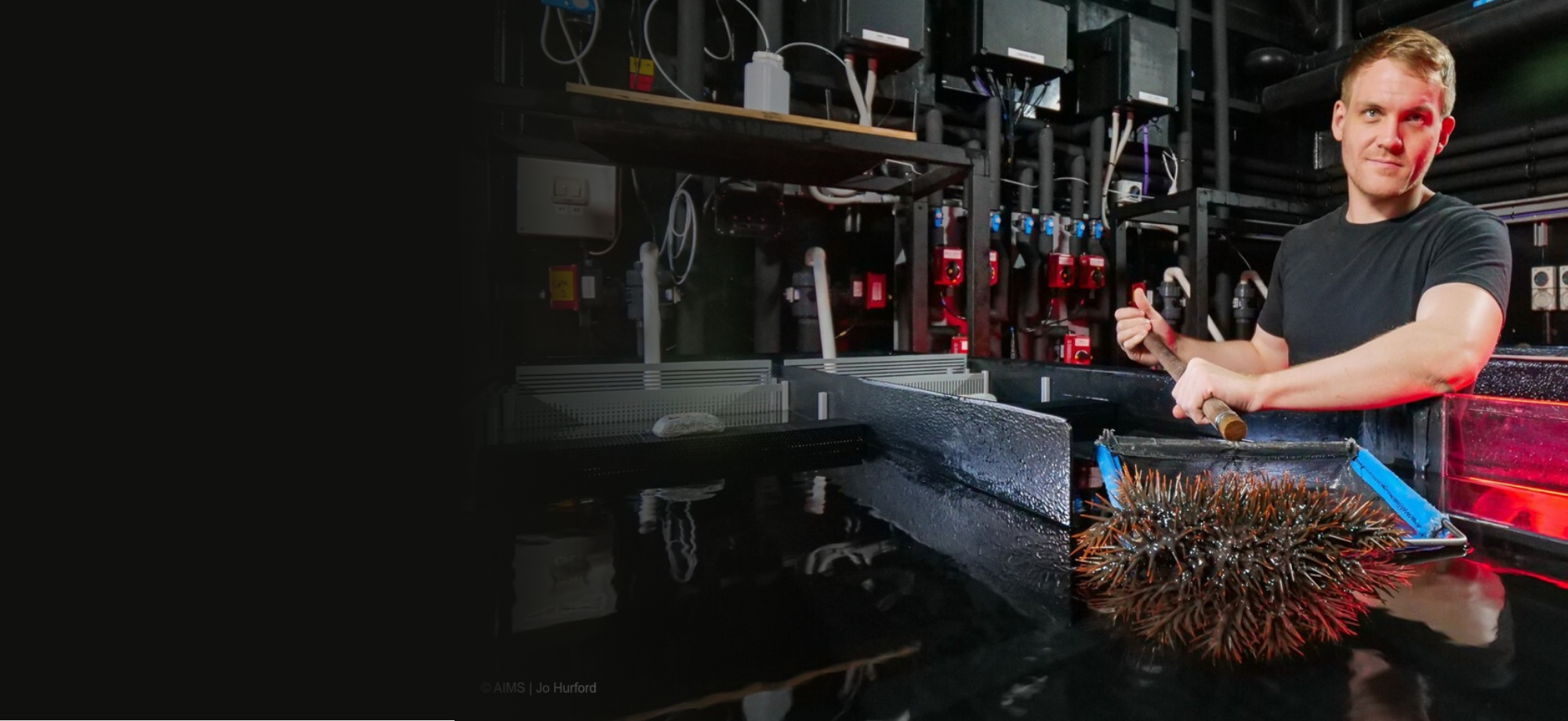 Richard Harris, with crown-of-starfish and flume system in the National Sea Simulator
