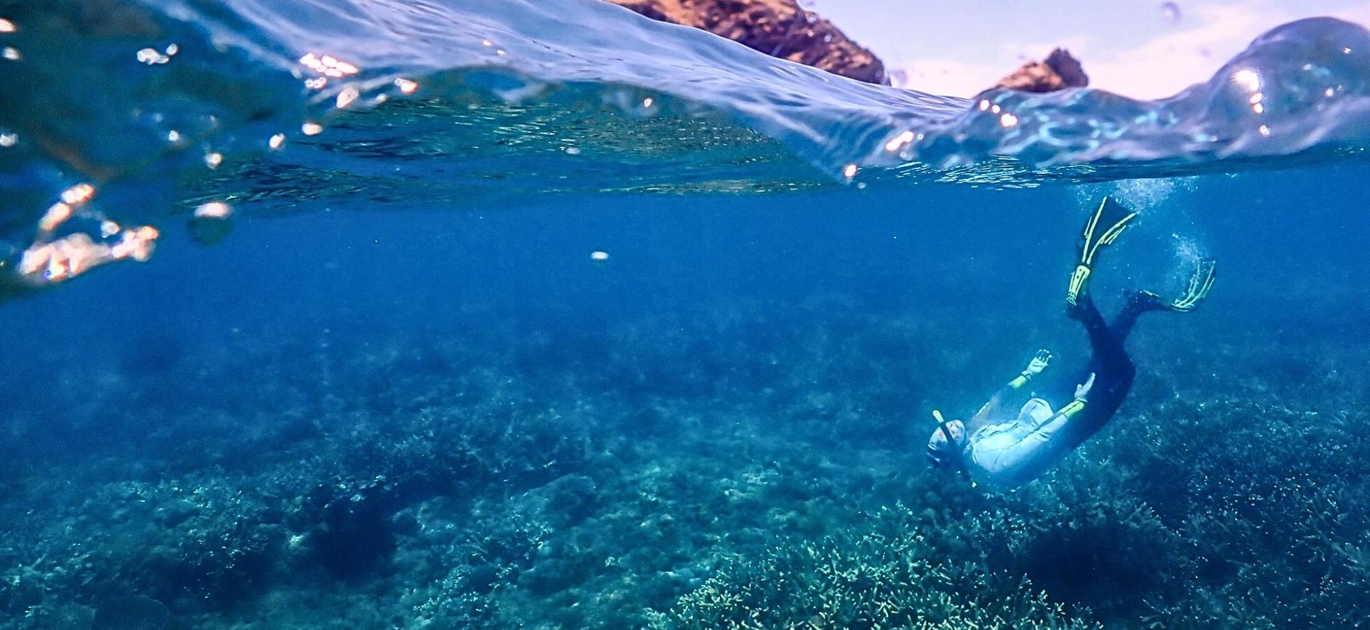 a snorkeller diving onto a coral reef. the top of the photos is out of the water, where a rocky cliff of an island can be seen