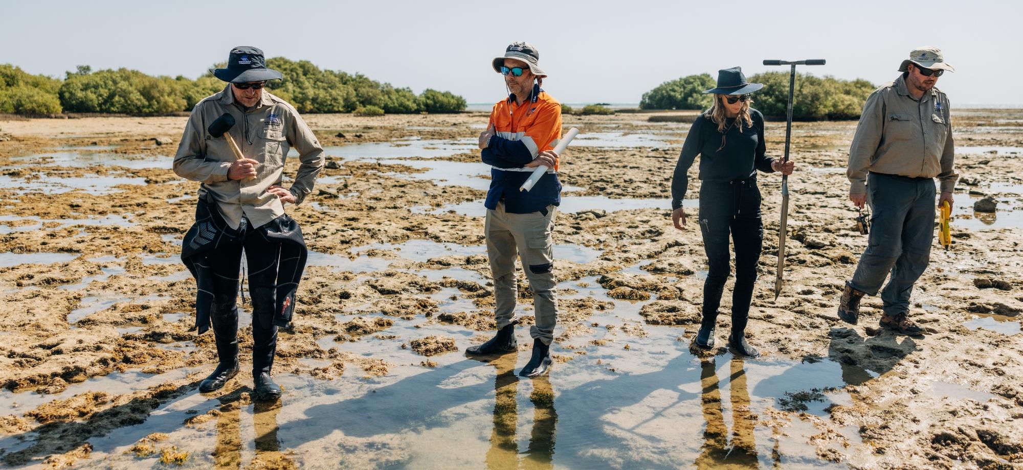 Scientists take soil core from mangroves