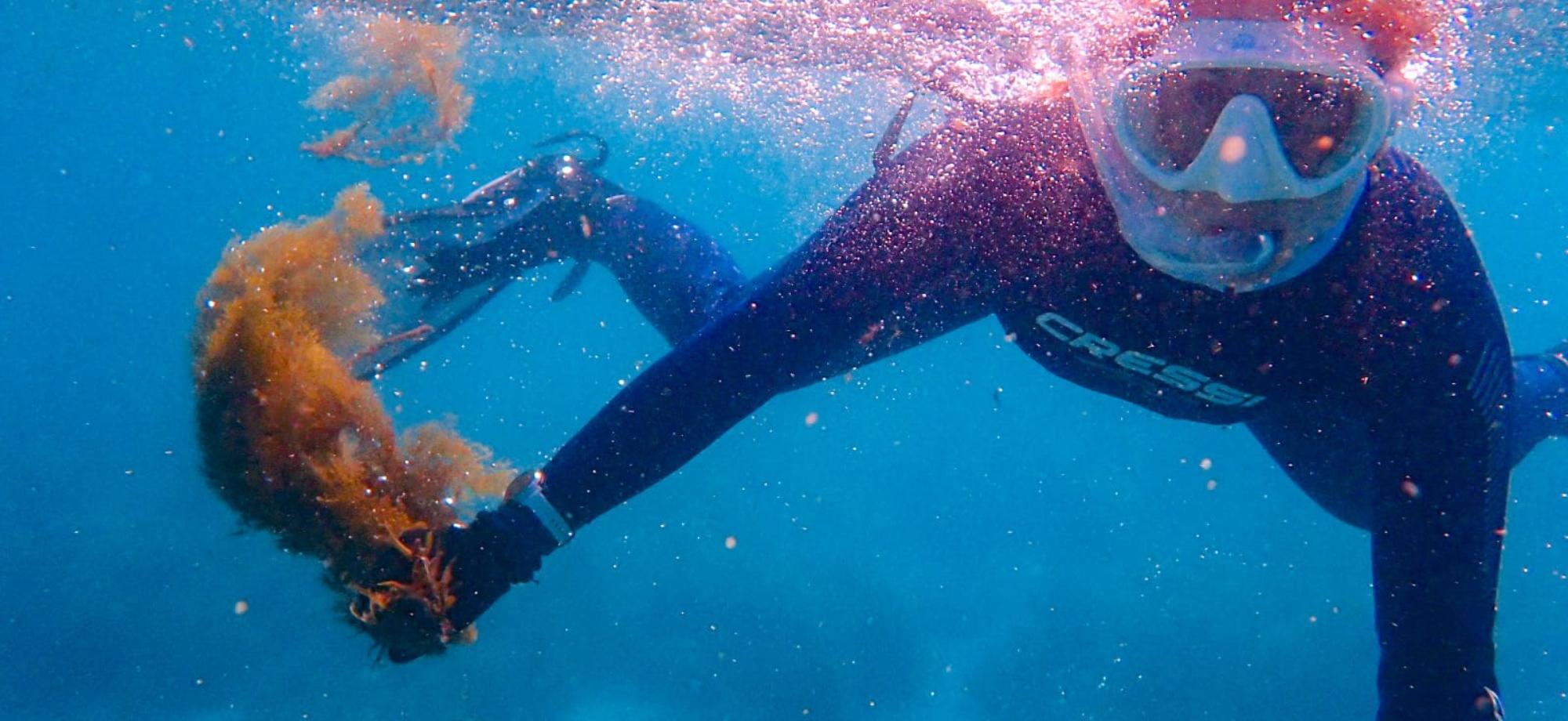 snorkeller with seaweed