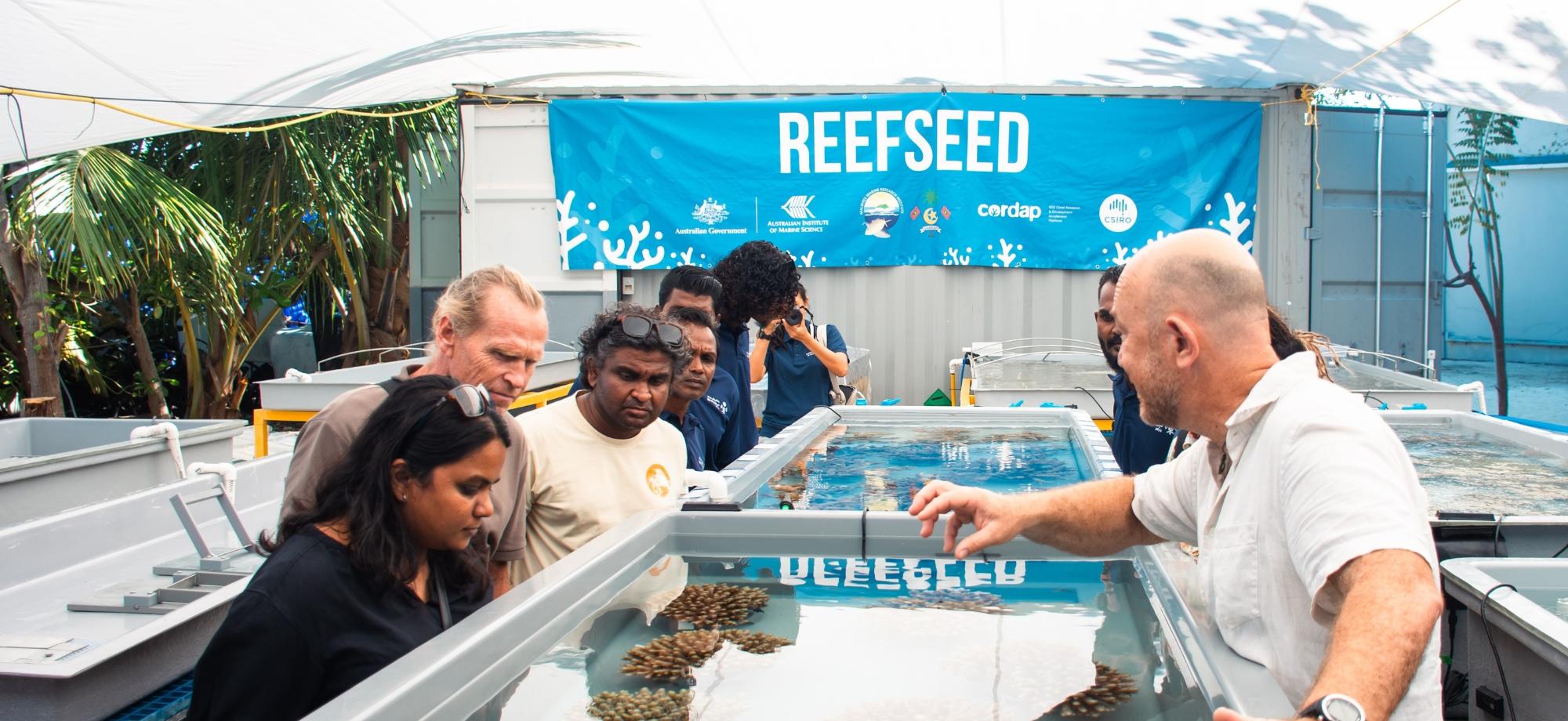 Scientists demonstrating reef spawning technology