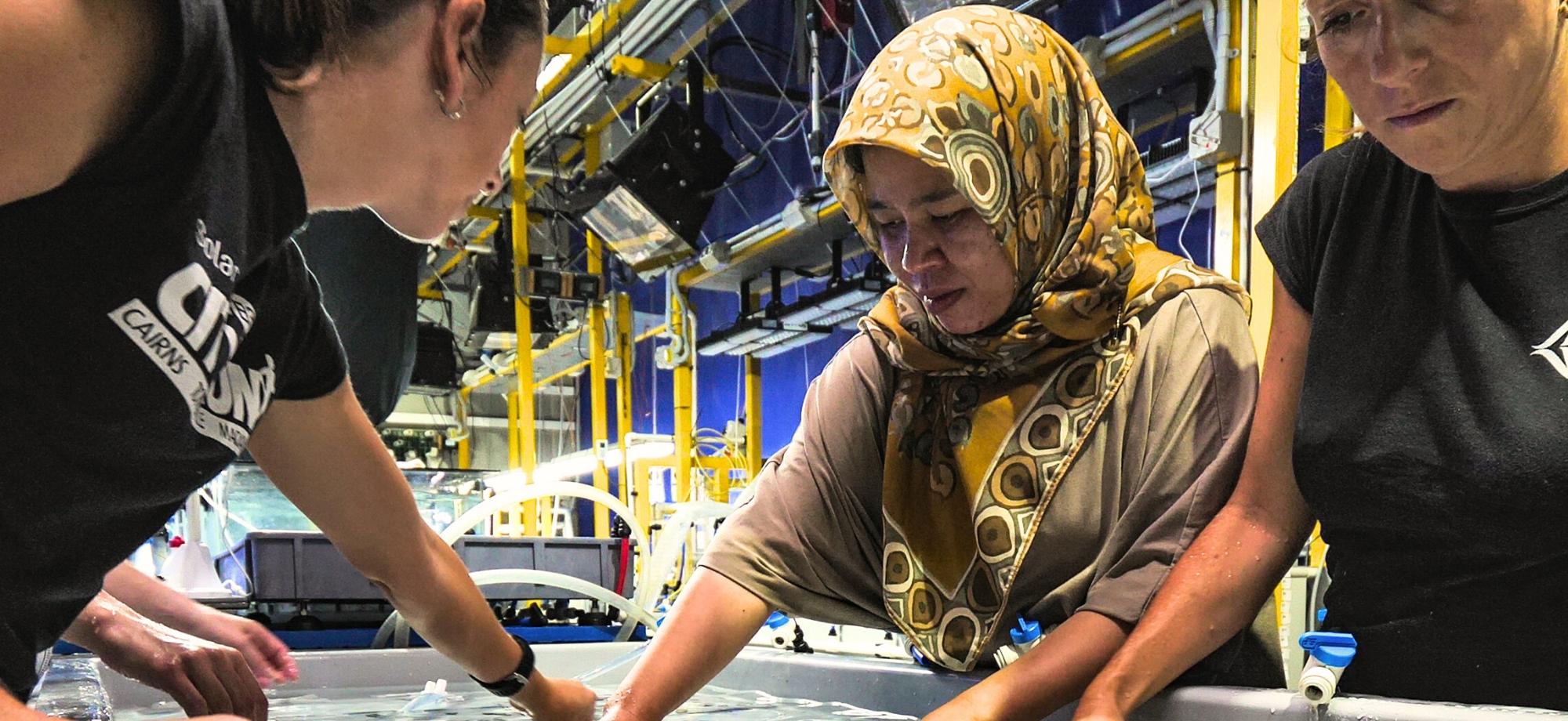 Scientists assembling coral devices