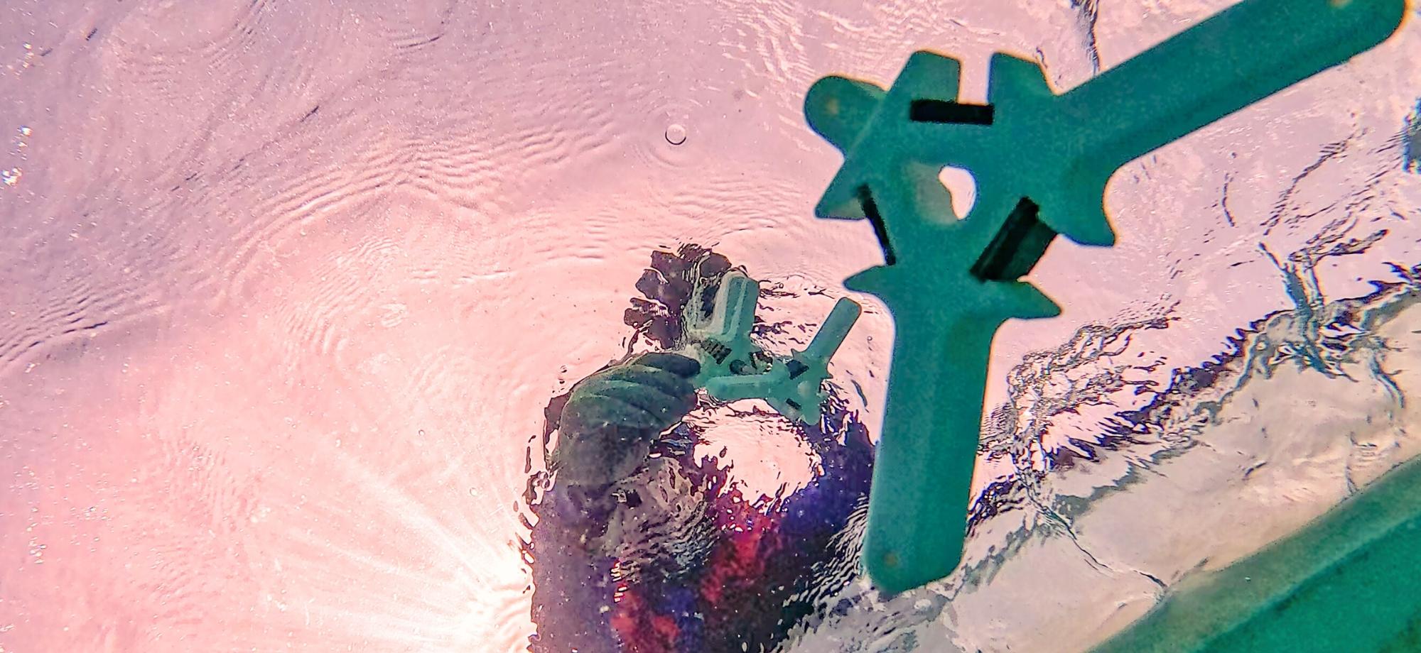 Underwater shot looking up at coral seeding devices being deployed from a boat.