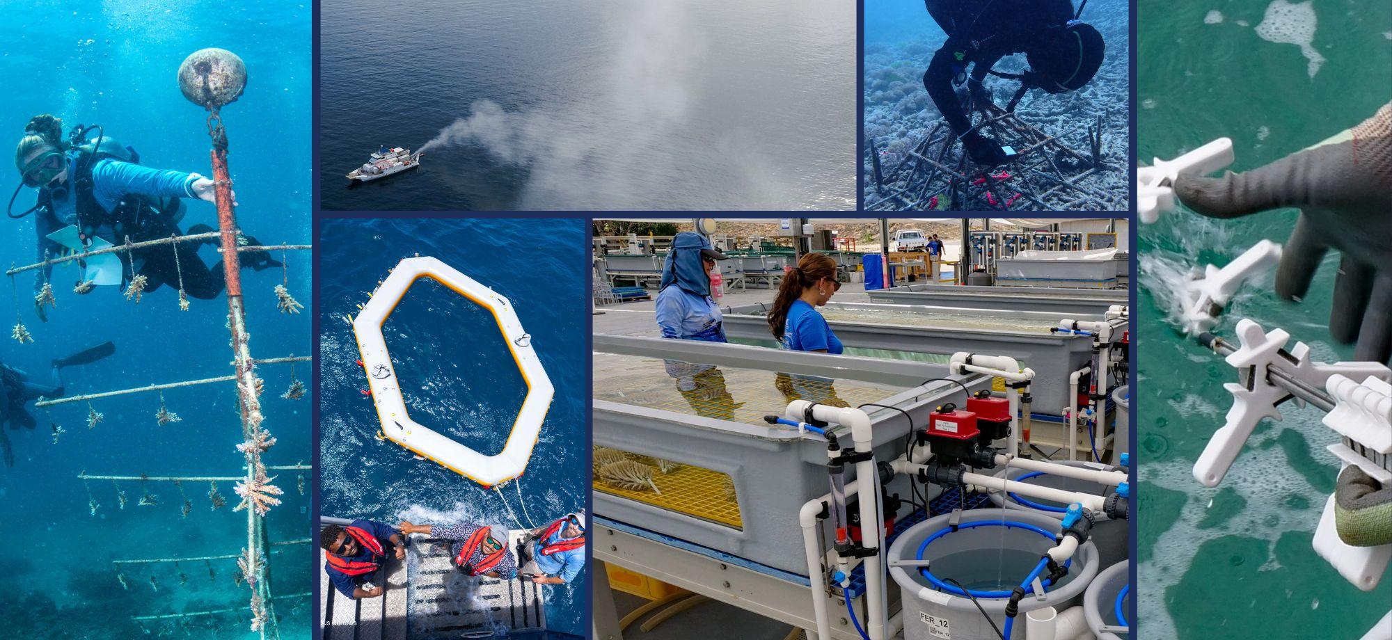 a collection of photos of different reef interventions such as cloud brightening trials, seeding devices coral aquaculture