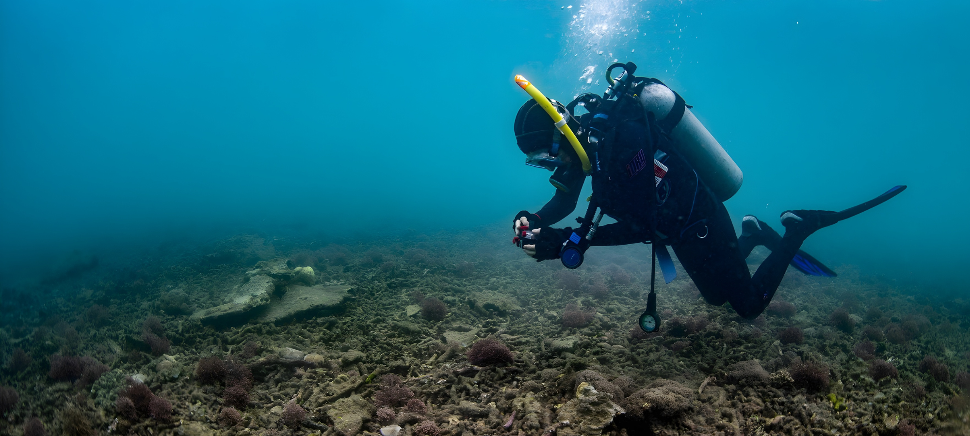 A diver swims over the bottom of the ocean