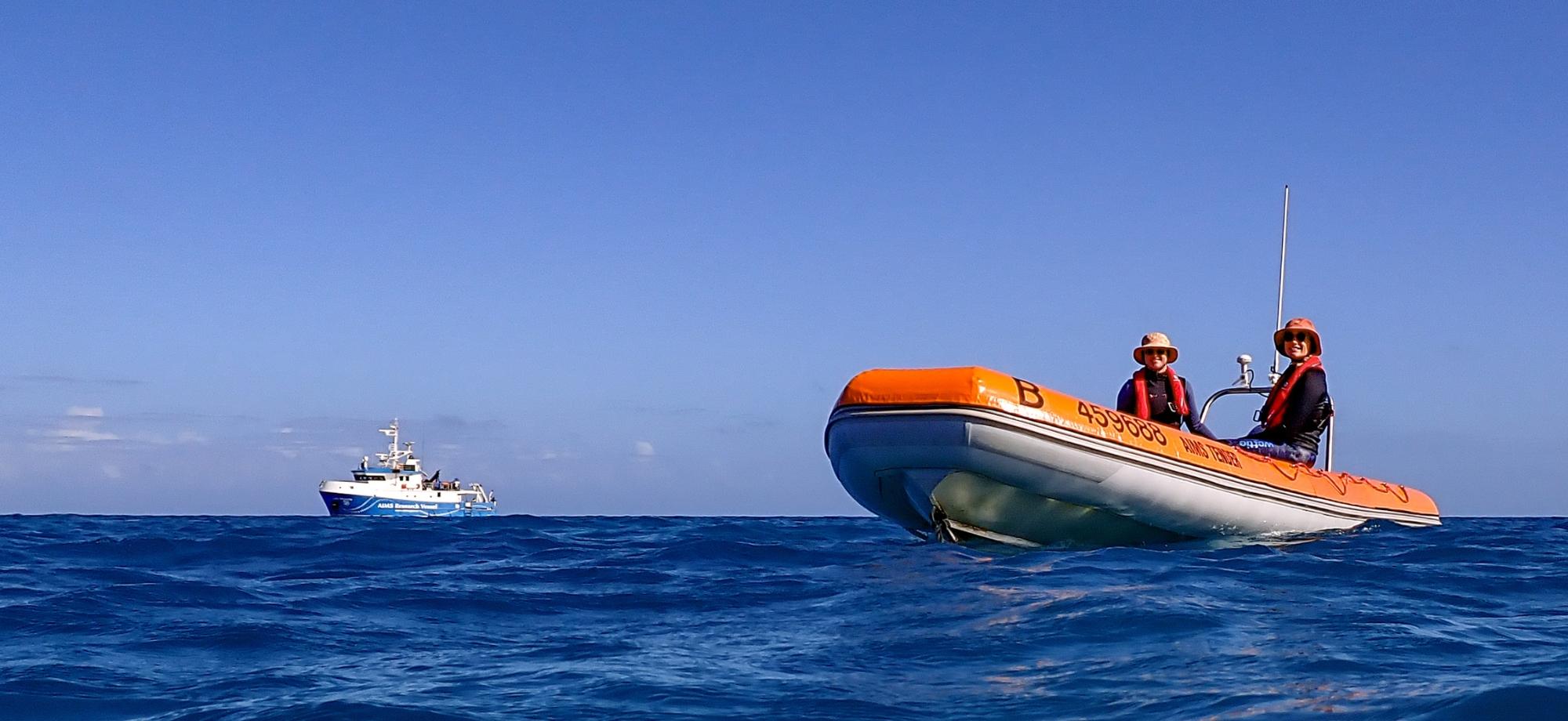 Marine scientists on a tender with research vessel in the background